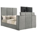 Tara Panel TV Bed